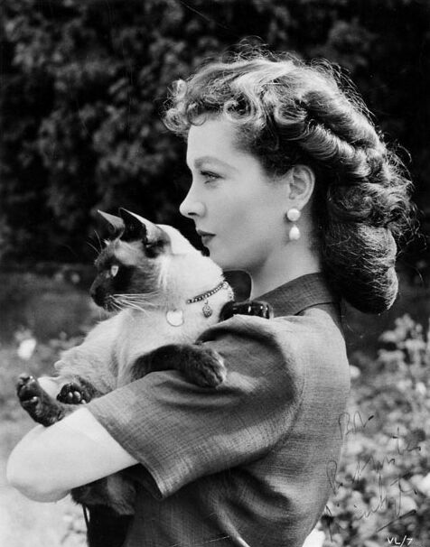 Vivien Leigh Vivien Leigh