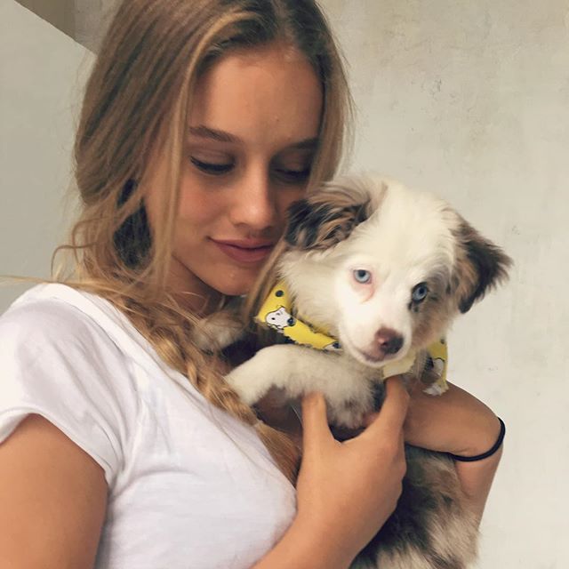 Chase Carter Chase Carter