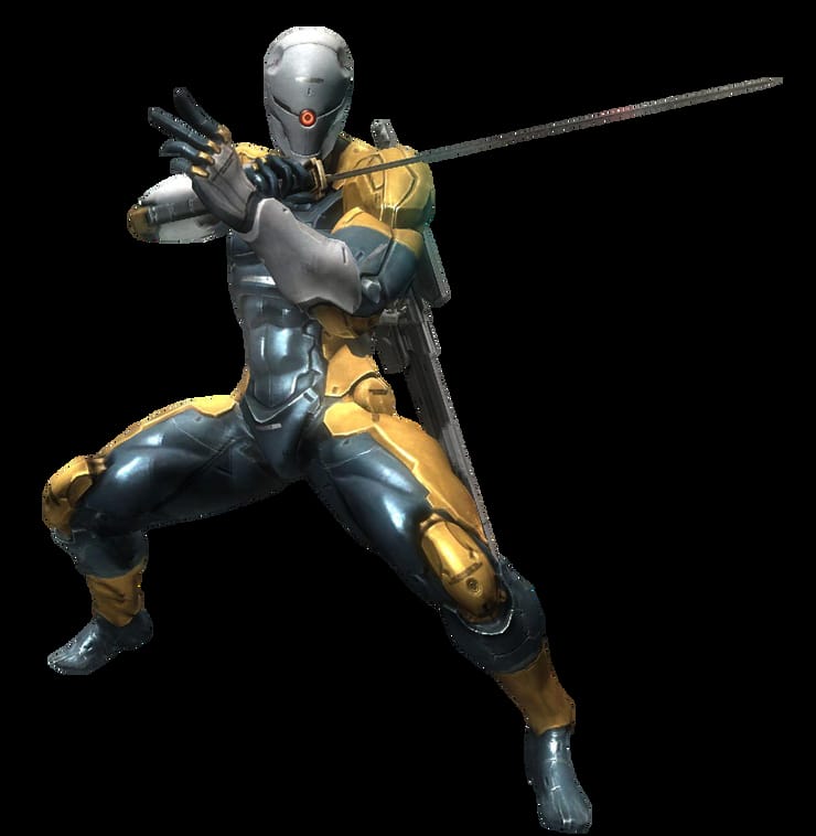 Grey fox