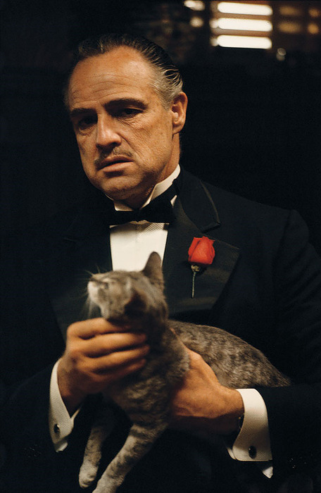 The Godfather (1972) The Godfather (1972)