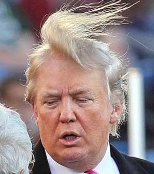 Donald Trump Donald Trump