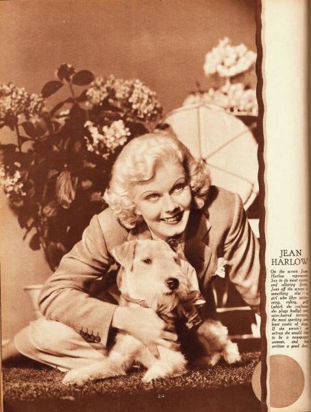 Picture of Jean Harlow