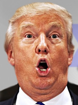 Donald Trump Donald Trump