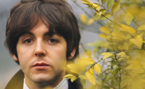 Paul McCartney Paul McCartney