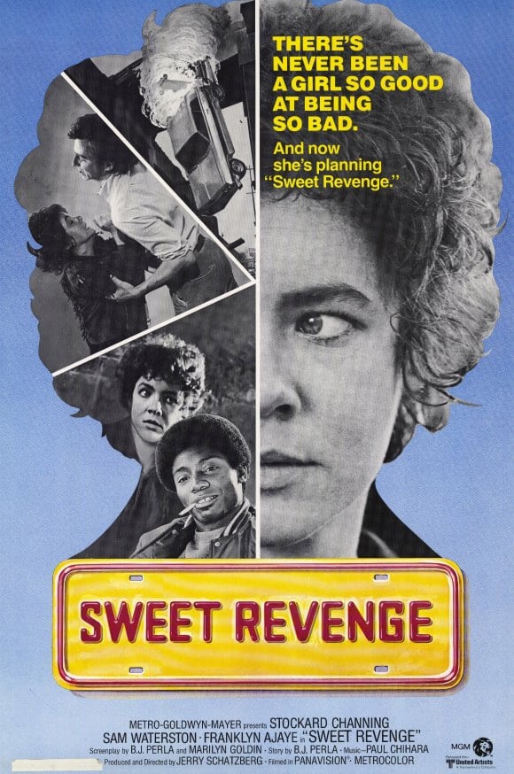 sweet-revenge-1976-best-movies-to-watch-from-top-turbabitbond