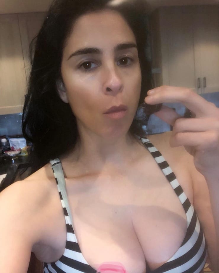 Sarah Silverman Sex Scene Telegraph