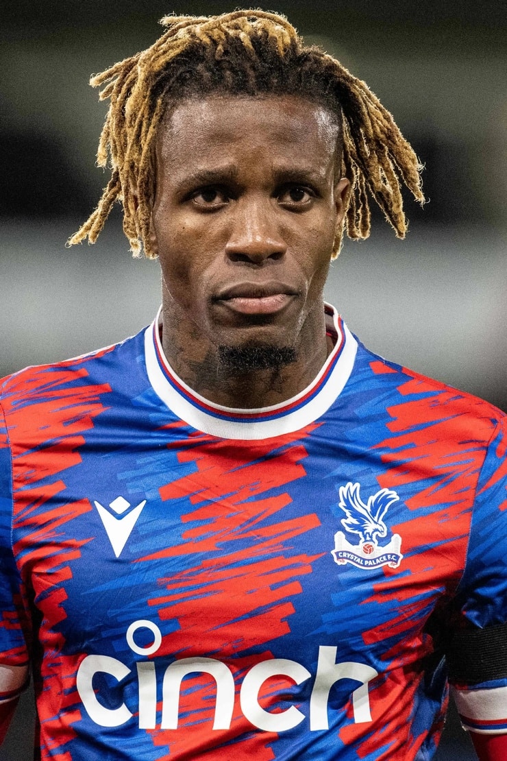 Picture Of Wilfried Zaha