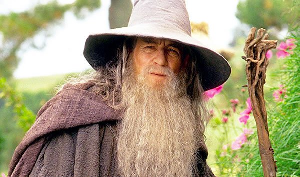 The Lord of the Rings: The Fellowship of the Ring The Lord of the Rings: The Fellowship of the Ring