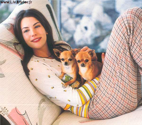 Liv Tyler Liv Tyler
