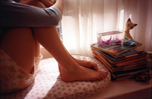 The Virgin Suicides The Virgin Suicides