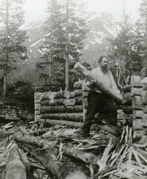 Image result for markens grøde film