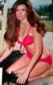 Edy Williams Edy Williams