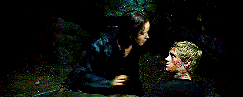 The Hunger Games The Hunger Games