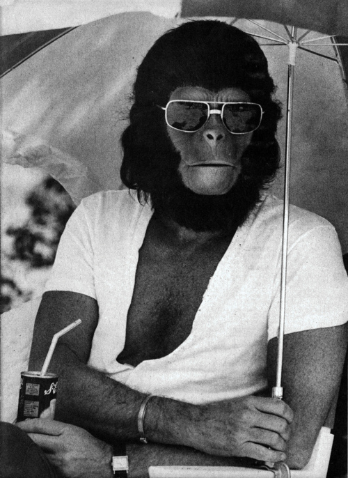Planet of the Apes Planet of the Apes
