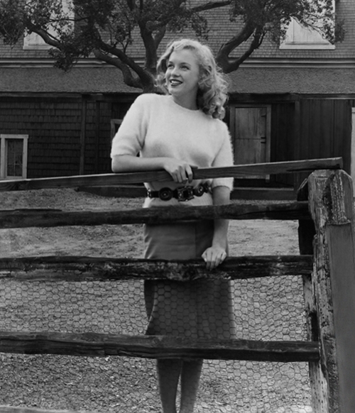 Marilyn Monroe Marilyn Monroe