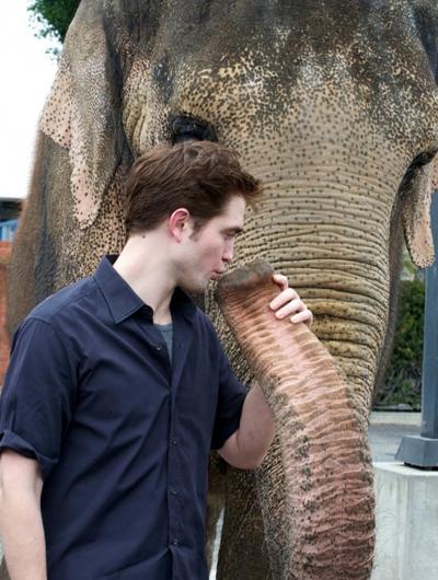 Robert Pattinson Robert Pattinson