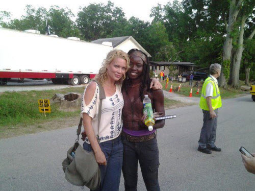 The Walking Dead The Walking Dead