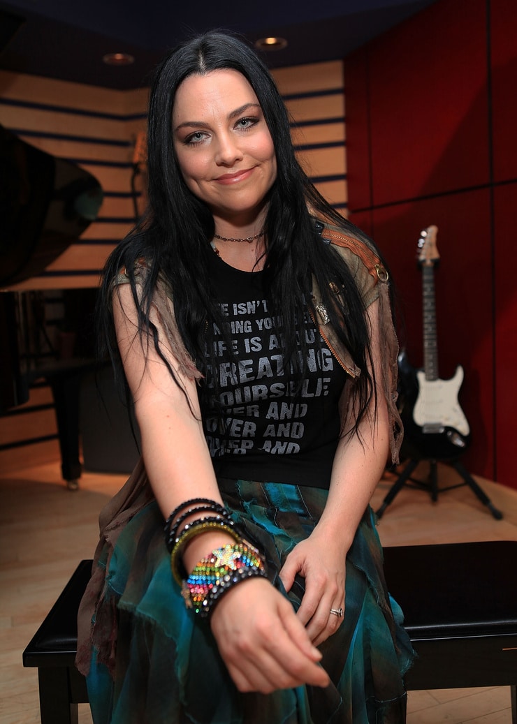 Picture Of Amy Lee