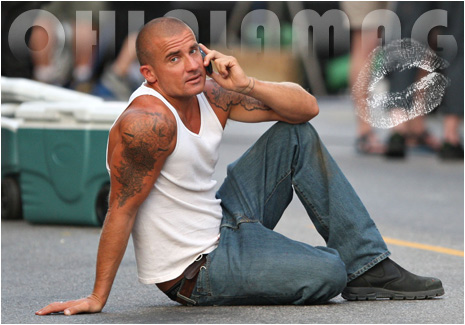 gay torrent bleisch first gay ssex