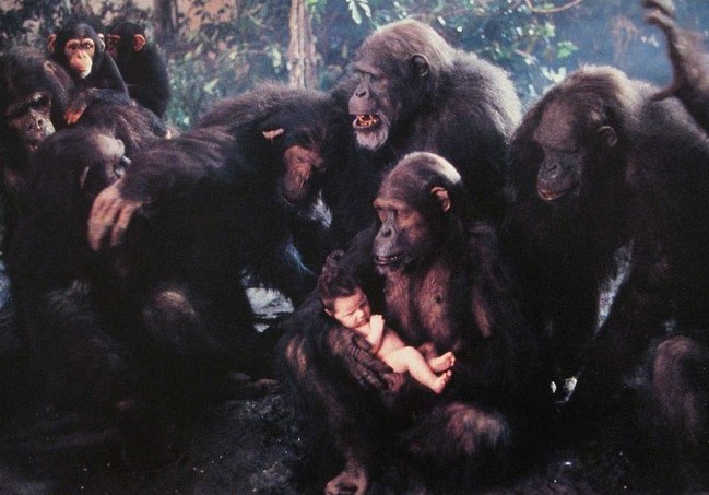 Greystoke: The Legend of Tarzan, Lord of the Apes Greystoke: The Legend of Tarzan, Lord of the Apes