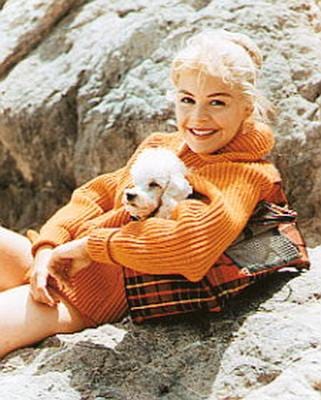 sandra dee red shoes