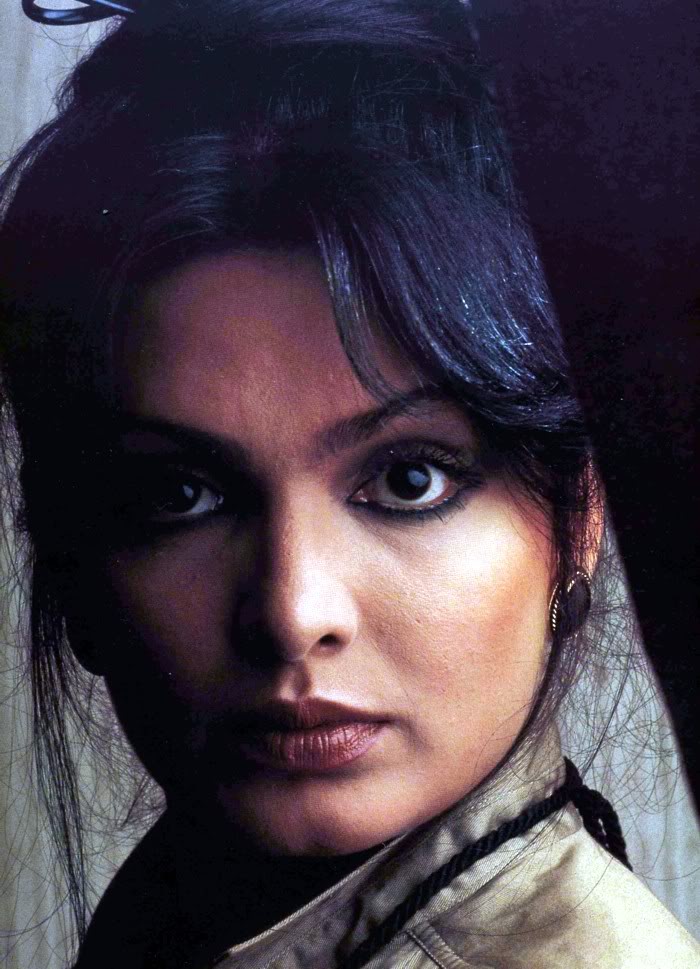 parveen babi wiki parveen babi net worth bio net worth roll parveen babi wiki parveen babi net worth bio net worth roll