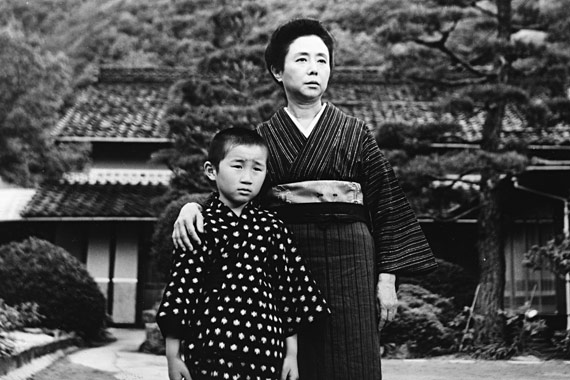 Picture of Tree Without Leaves