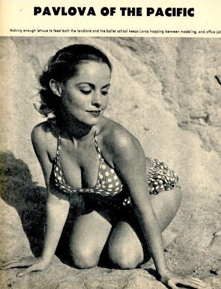 Diane Webber Diane Webber