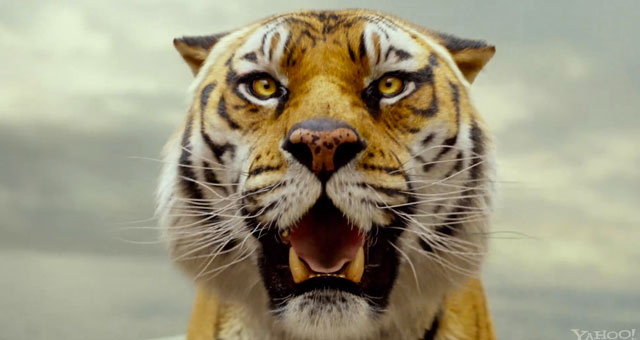 Life Of Pi Life Of Pi
