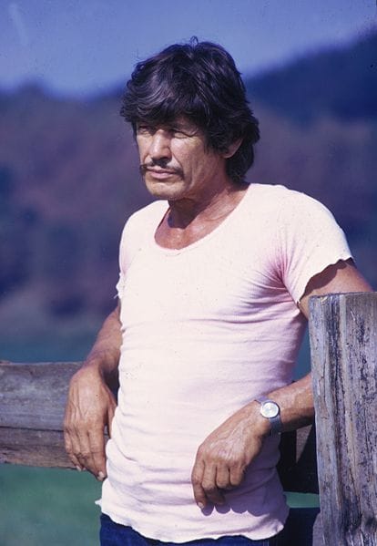 600full-charles-bronson.jpg