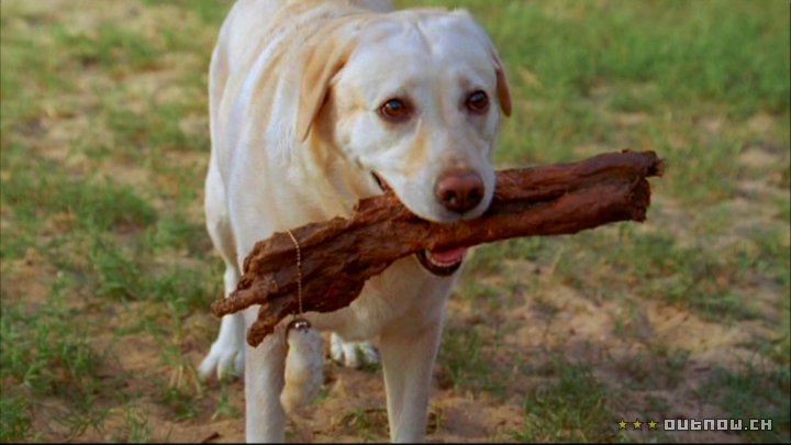 Lost (2004-2010) Lost (2004-2010)