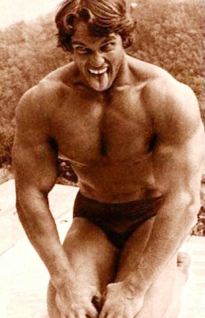 Arnold Schwarzenegger Arnold Schwarzenegger