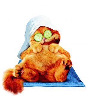 Garfield: A Tail Of Two Kitties Garfield: A Tail Of Two Kitties