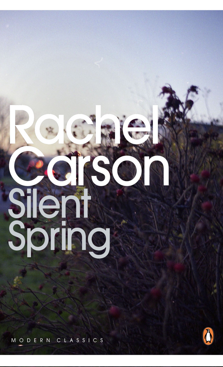 Picture of Silent Spring