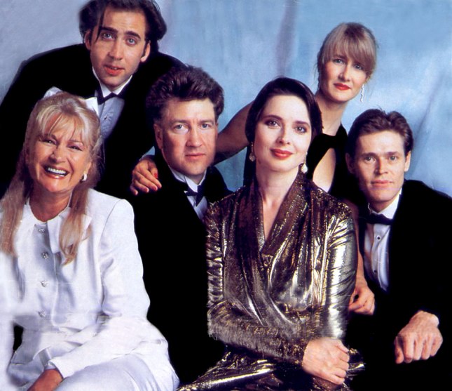 Wild at Heart Wild at Heart