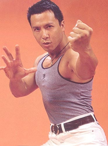 370full-donnie-yen.jpg