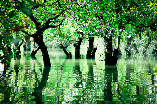 Bangladesh Bangladesh