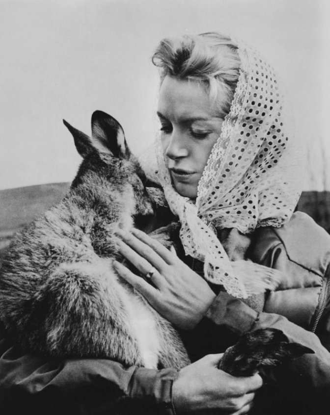 Deborah Kerr Deborah Kerr