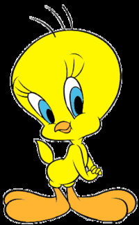 tweety pie teddy