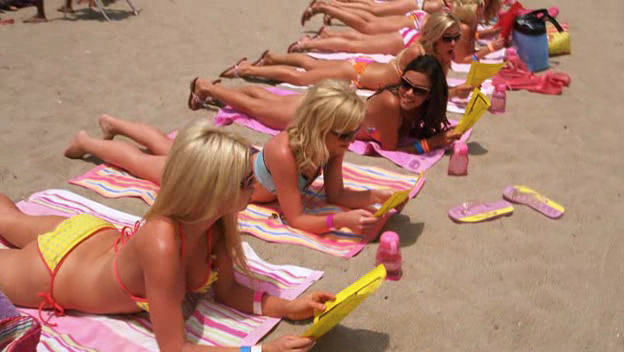 Spring Breakdown Spring Breakdown