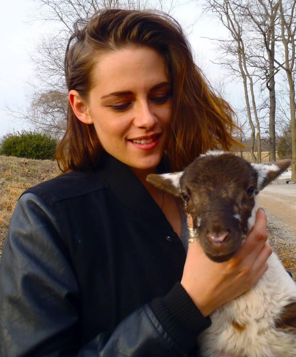 600full-kristen-stewart.jpg