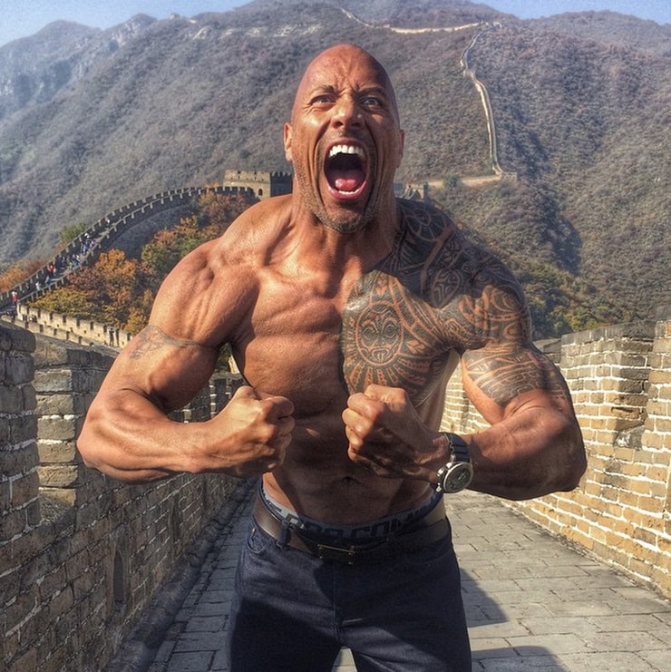 740full-dwayne-johnson.jpg