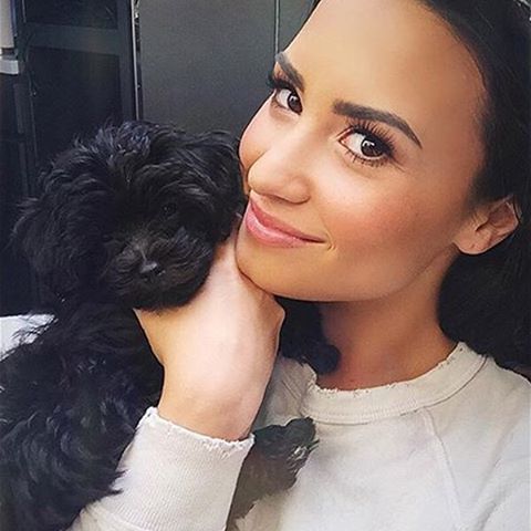 Demi Lovato Demi Lovato