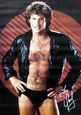 David Hasselhoff David Hasselhoff
