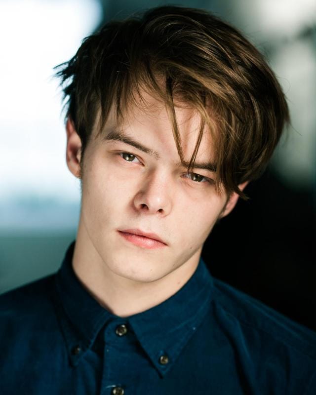 Image result for charlie heaton