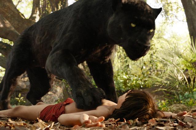 The Jungle Book The Jungle Book