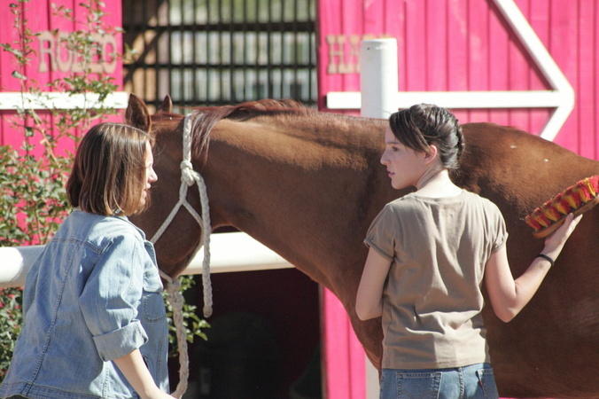 A Horse for Summer