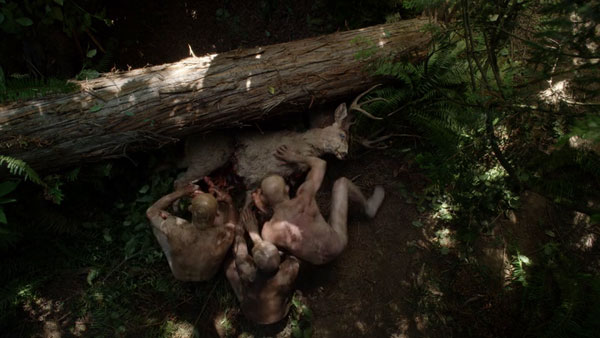 Wayward Pines Wayward Pines