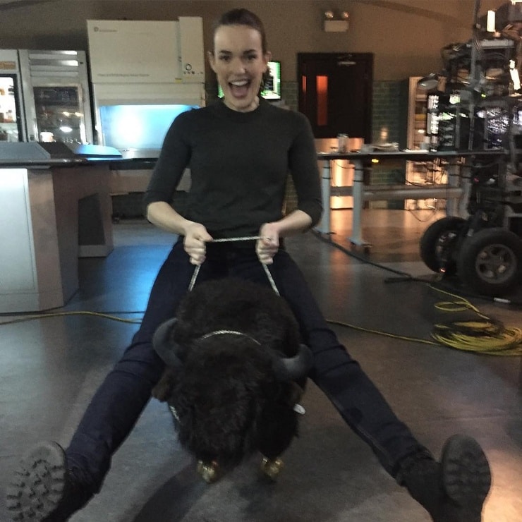 Elizabeth Henstridge