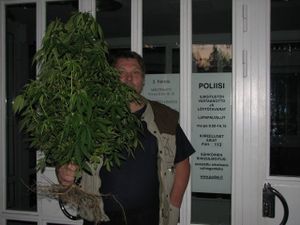 Pasi Viheraho